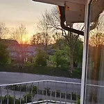 Seeschwalbe